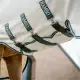 Chalk/Hunter Green&silver